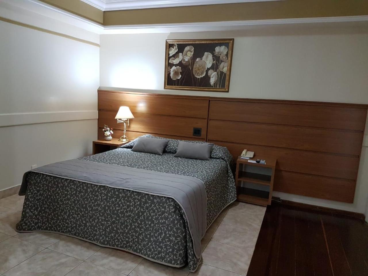 Tamareiras Park Hotel Убераба Екстериор снимка