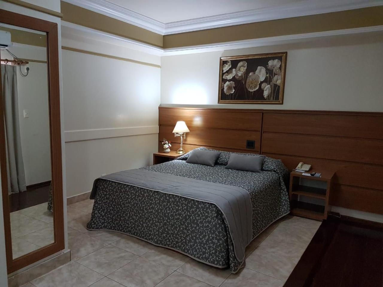 Tamareiras Park Hotel Убераба Екстериор снимка